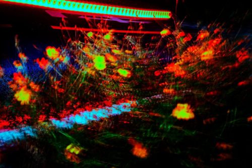 20230922_GRⅢ_0023_0003