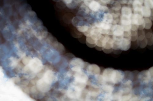 20230924_K-50_0004_0001