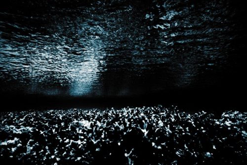 20240316_Z9_0028_0001