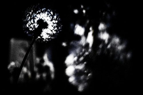 20250424_GRⅢ_0015_0001